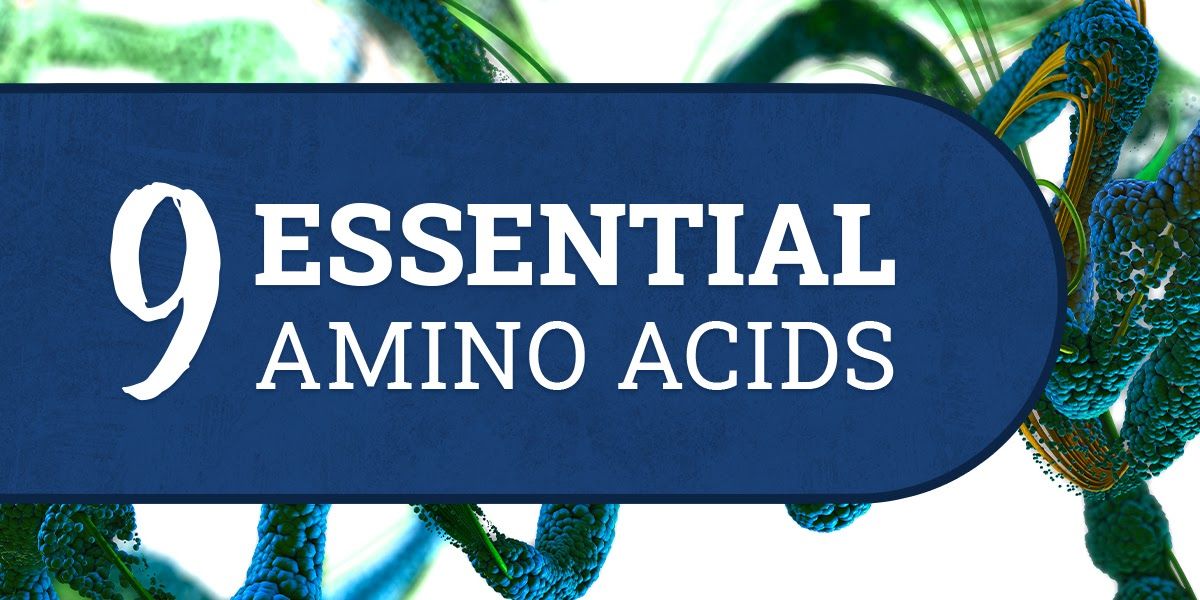 9 Essential Amino Acids